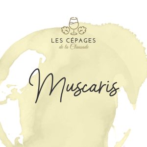 cépage résistant muscaris 1