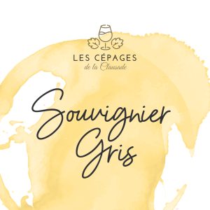 cépage résistant souvignier gris 1