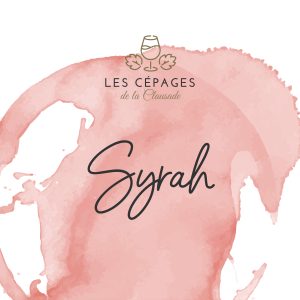 cépage résistant syrah 1