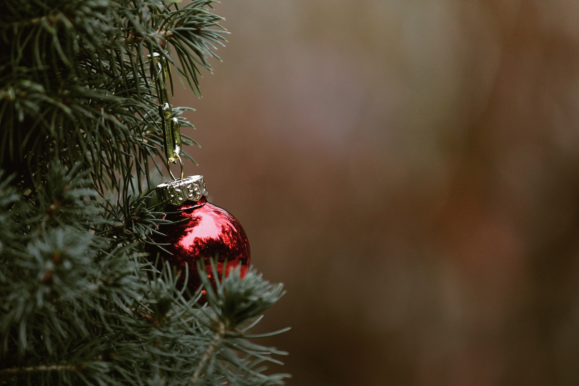 arbre de noël