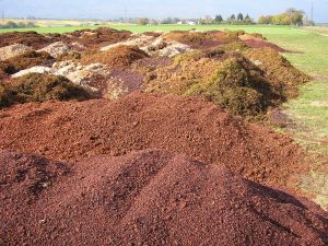 les sous-produits de la vigne